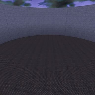 Arena X